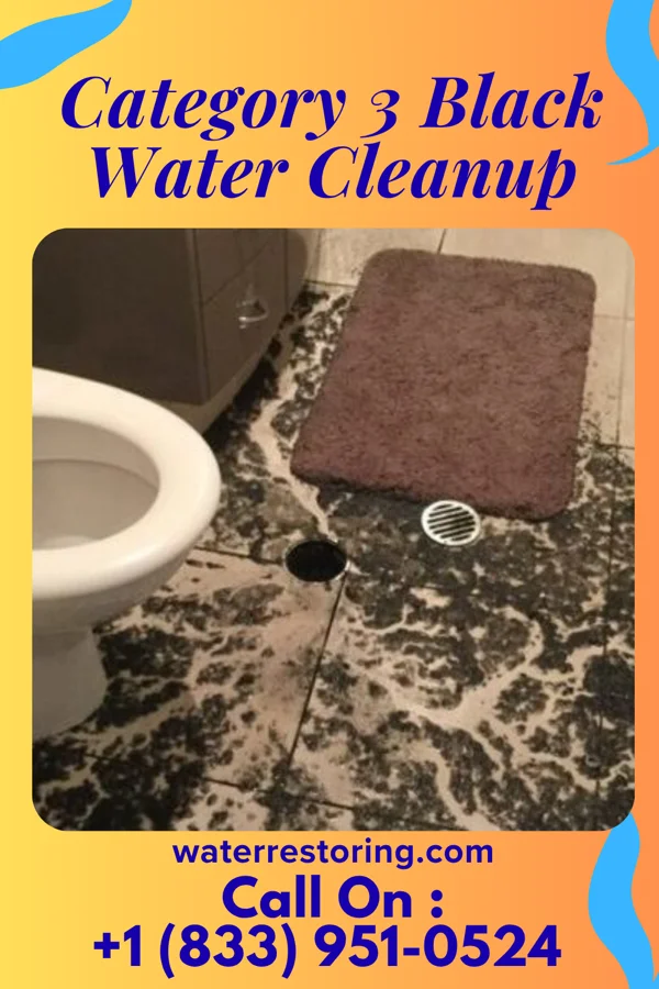 Category 3 Black Water Cleanup in Wheeler AFB, HI
